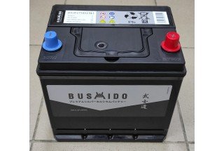 Аккумулятор Bushido Asia 65 a/h 600A R+