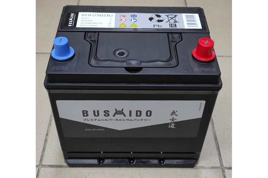 Аккумулятор Bushido Asia 65 a/h 600A R+