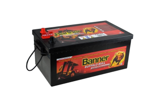 Аккумулятор Banner BUFFALO BULL SHD PROFESSIONAL 725 03 225 A/h 1150А R+