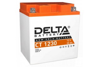 Аккумулятор Delta CT1230 YTX30L-BS